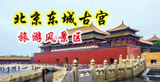 咪咪湿视频中国北京-东城古宫旅游风景区